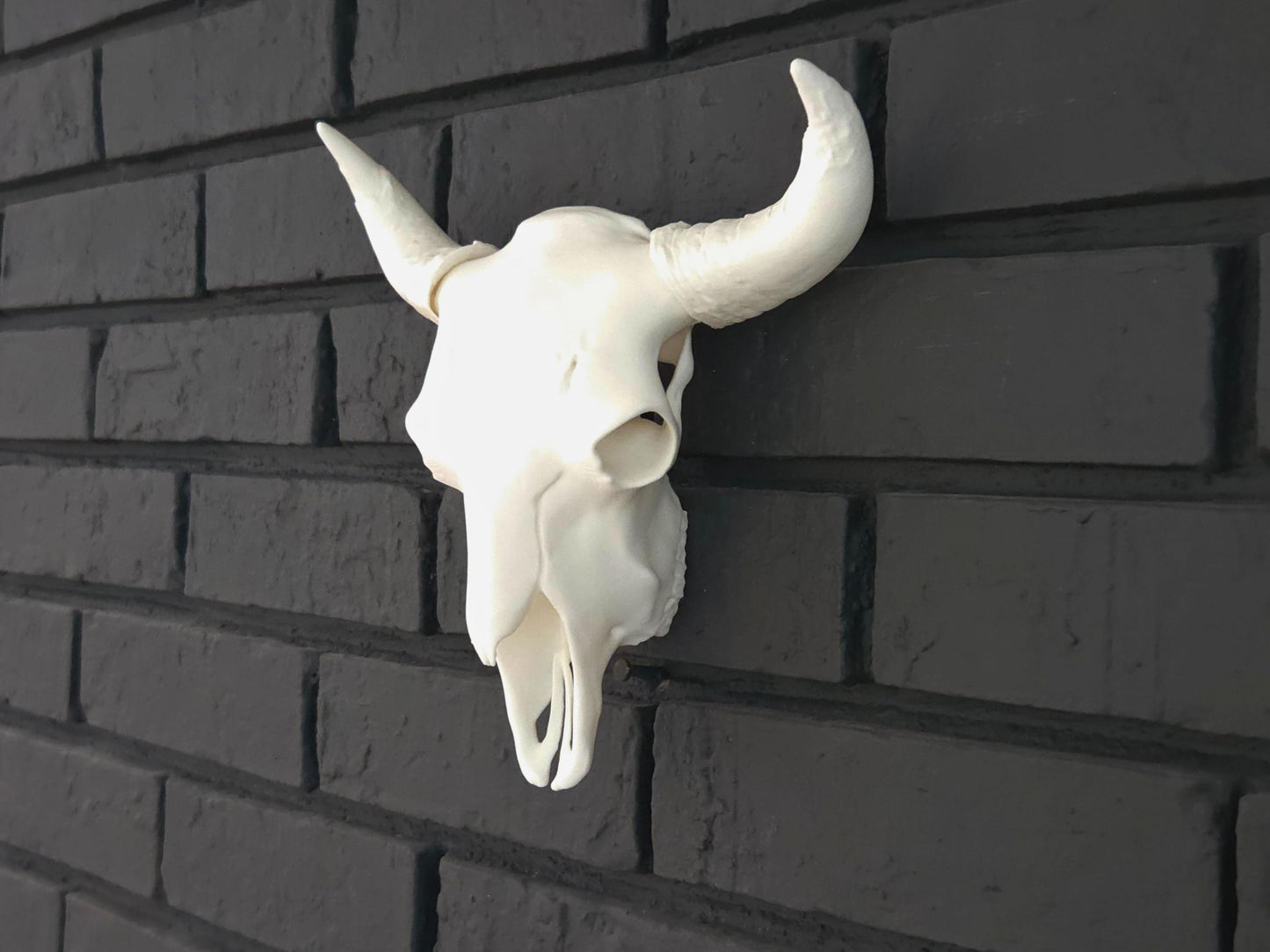 A white bison skull is hung on a black brick wall, showcasing ornate details.