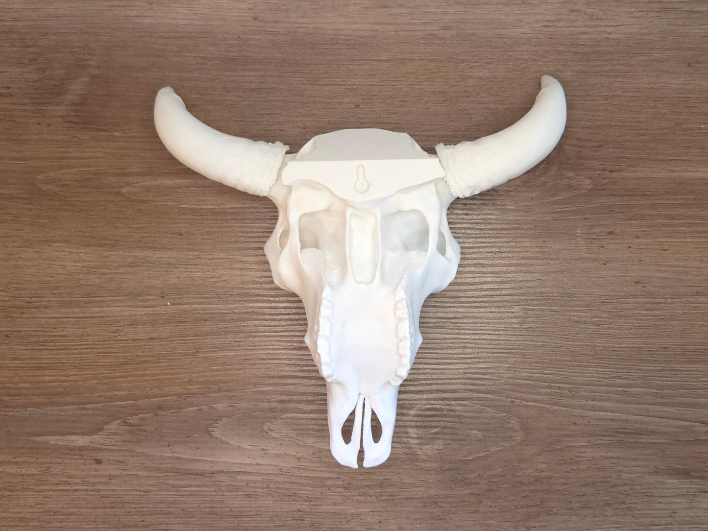 The back of the white bison skull is shown on a wooden background, showcasing the keyhole for easy hanging and display.