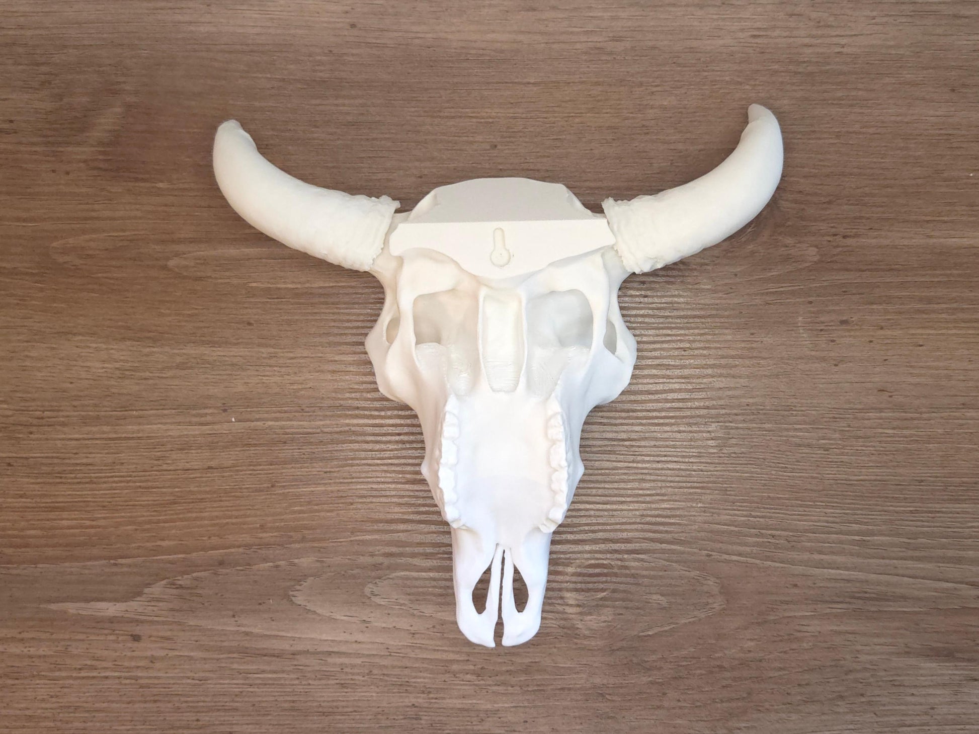 The back of the white bison skull is shown on a wooden background, showcasing the keyhole for easy hanging and display.