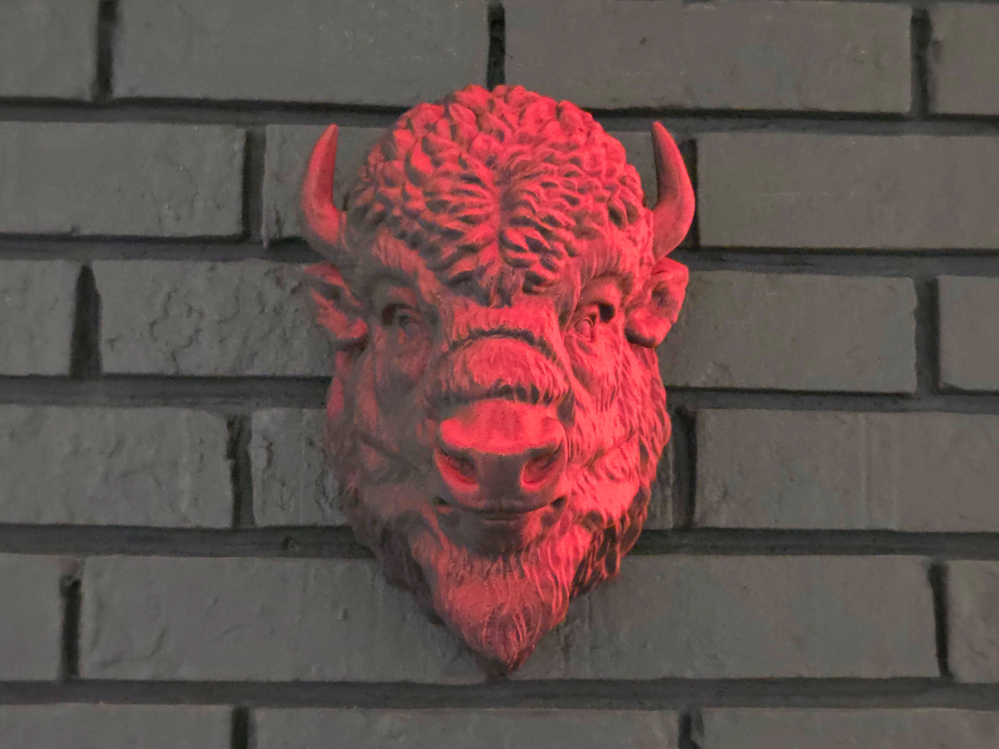 NEW COLORS! Wall Mounted Bison Head - Color Shift
