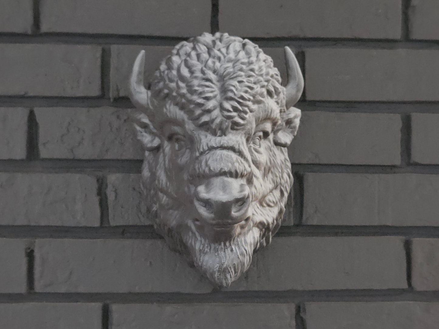 NEW COLORS! Wall Mounted Bison Head - Color Shift