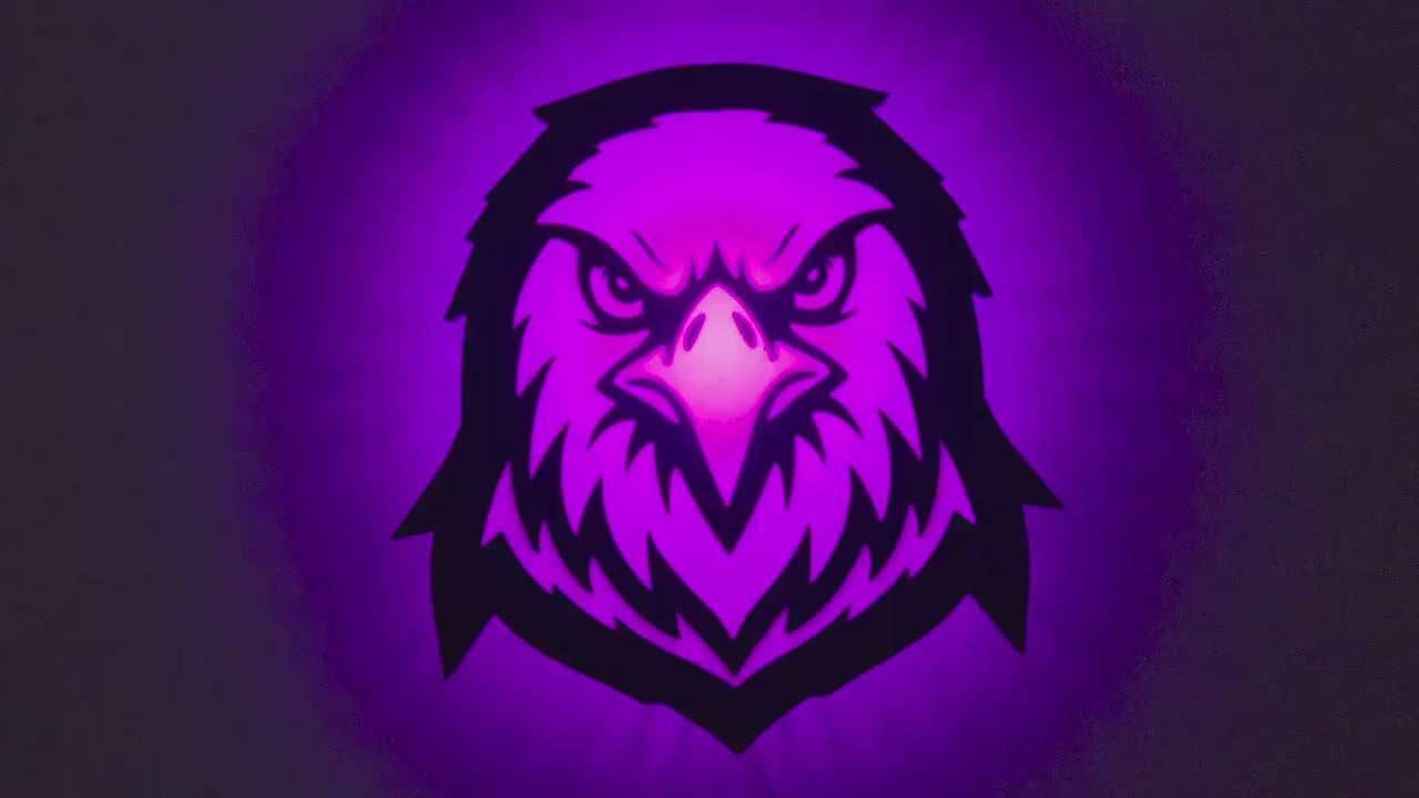 Hawk, Falcon, Eagle Mascot Lamp: Wall Mounted Color Changing Lamp